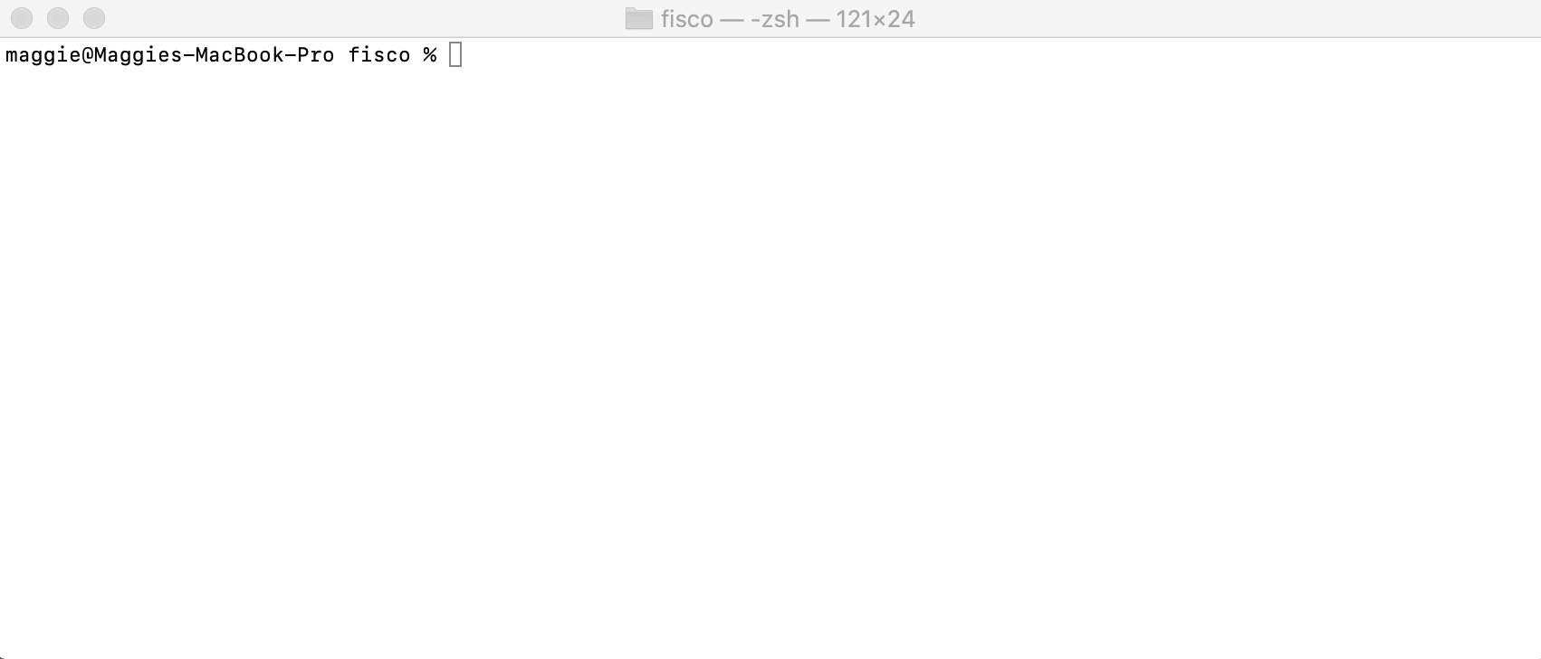../_images/get_console.gif